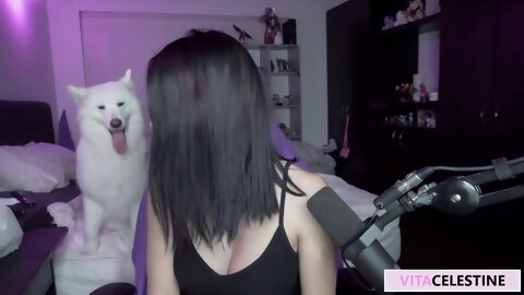 Gamer Girl Just Goes Wild On A Twitch Stream And Show Her Perfect Ass Just For You!